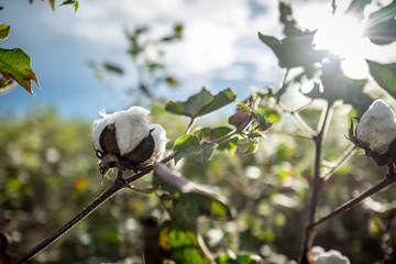 Duurzame mode: De 7 belangrijkste eco-certificeringen en wat ze betekenen