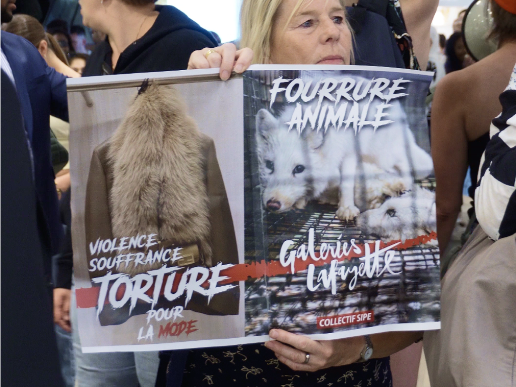 Action du collectif Sipe aux Galeries Lafayette